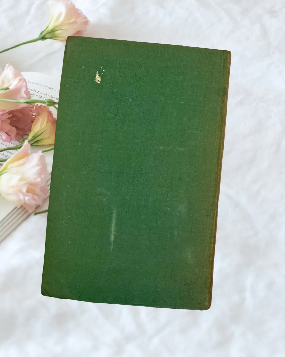 Vintage A Portrait of the Artist as a Young Man James Joyce Modern Library Book