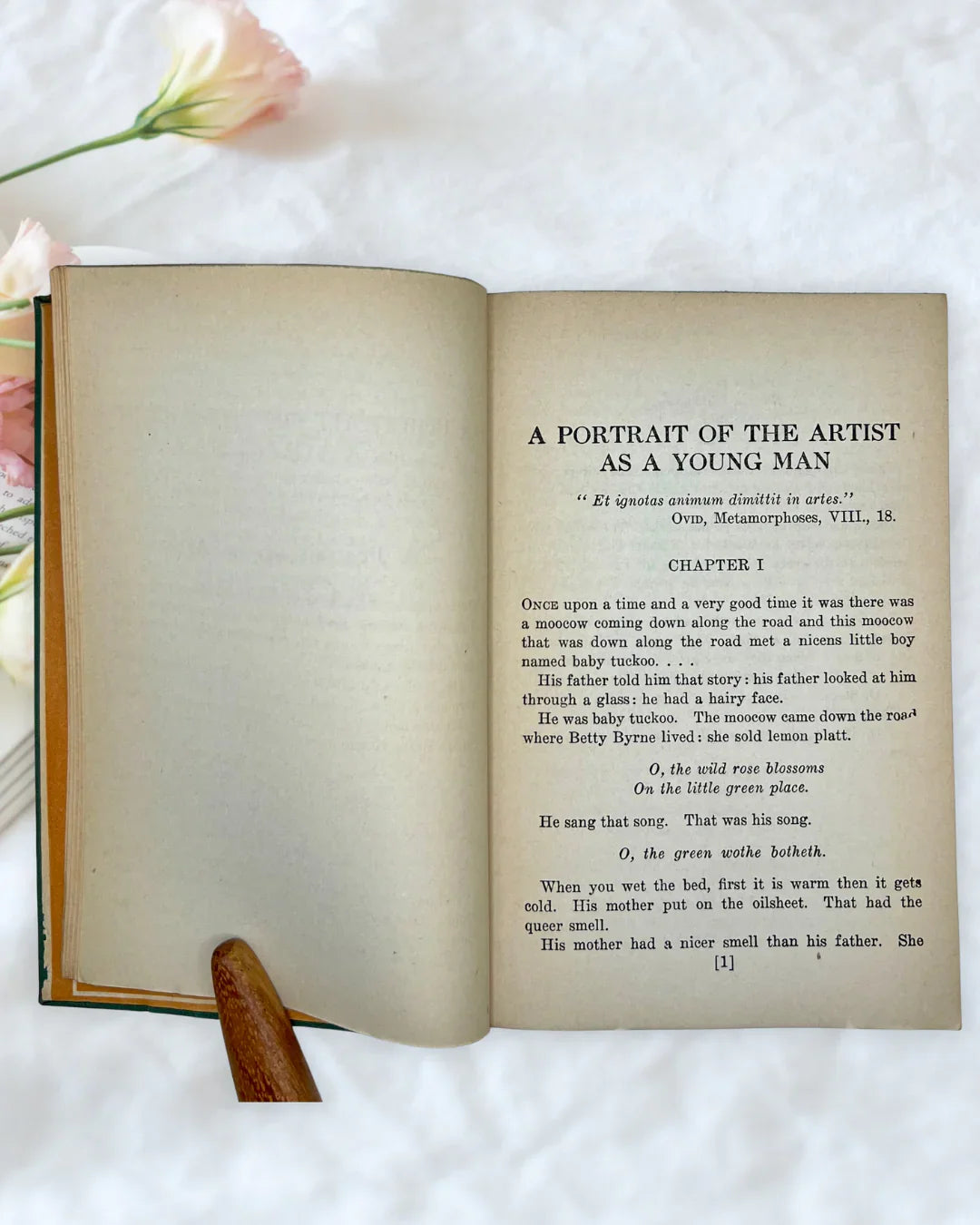 Vintage A Portrait of the Artist as a Young Man James Joyce Modern Library Book