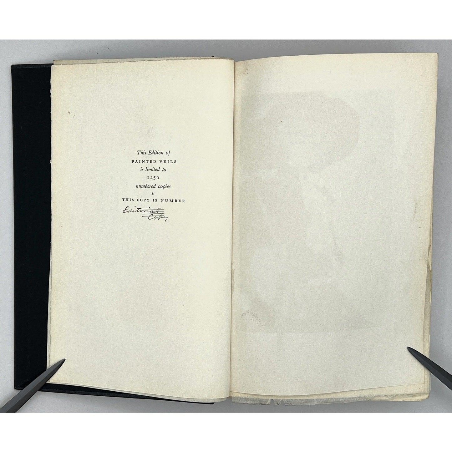 Painted Veils by James Huneker, Rare 1929 Illustrated Editorial Copy - That’s My JAmm
