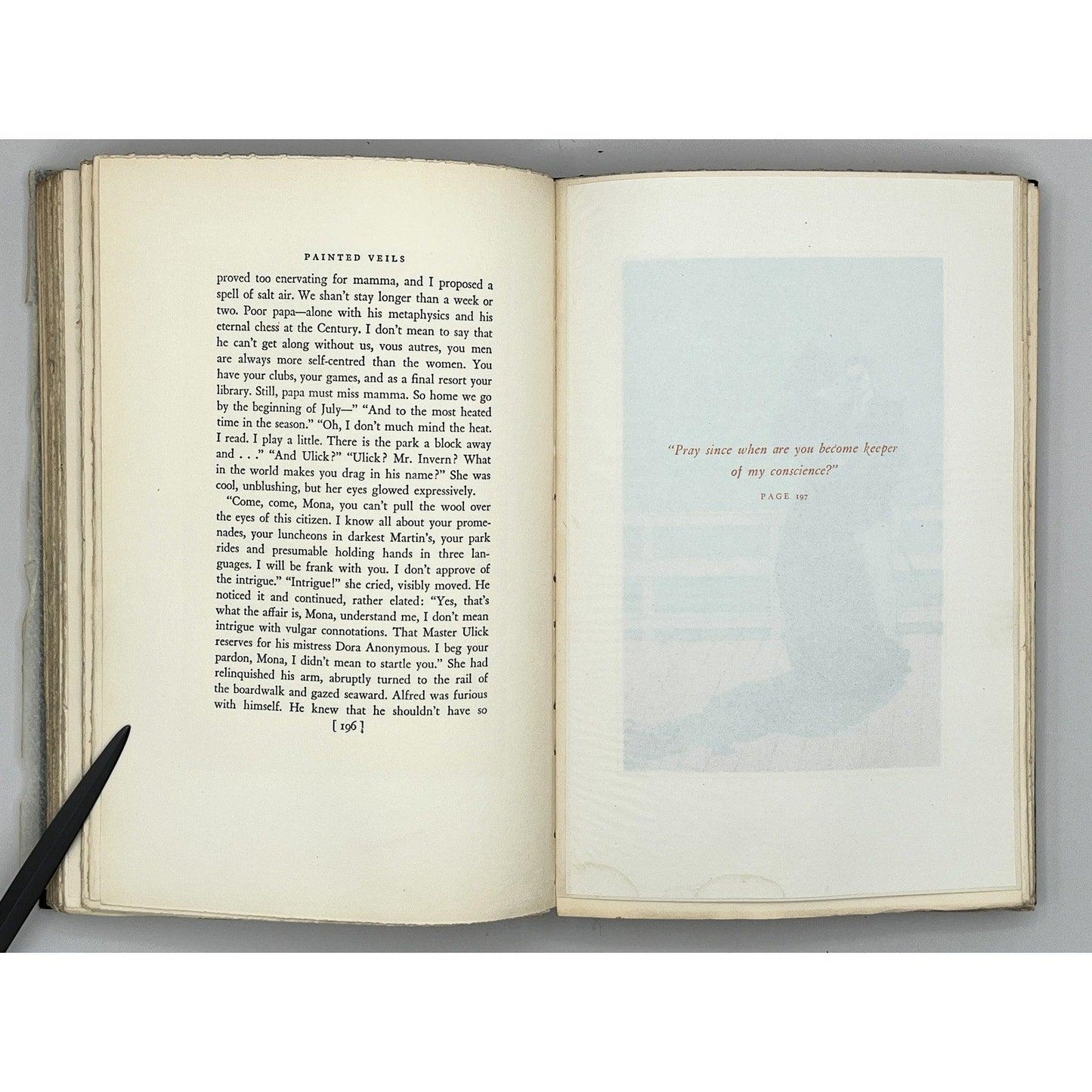 Painted Veils by James Huneker, Rare 1929 Illustrated Editorial Copy - That’s My JAmm