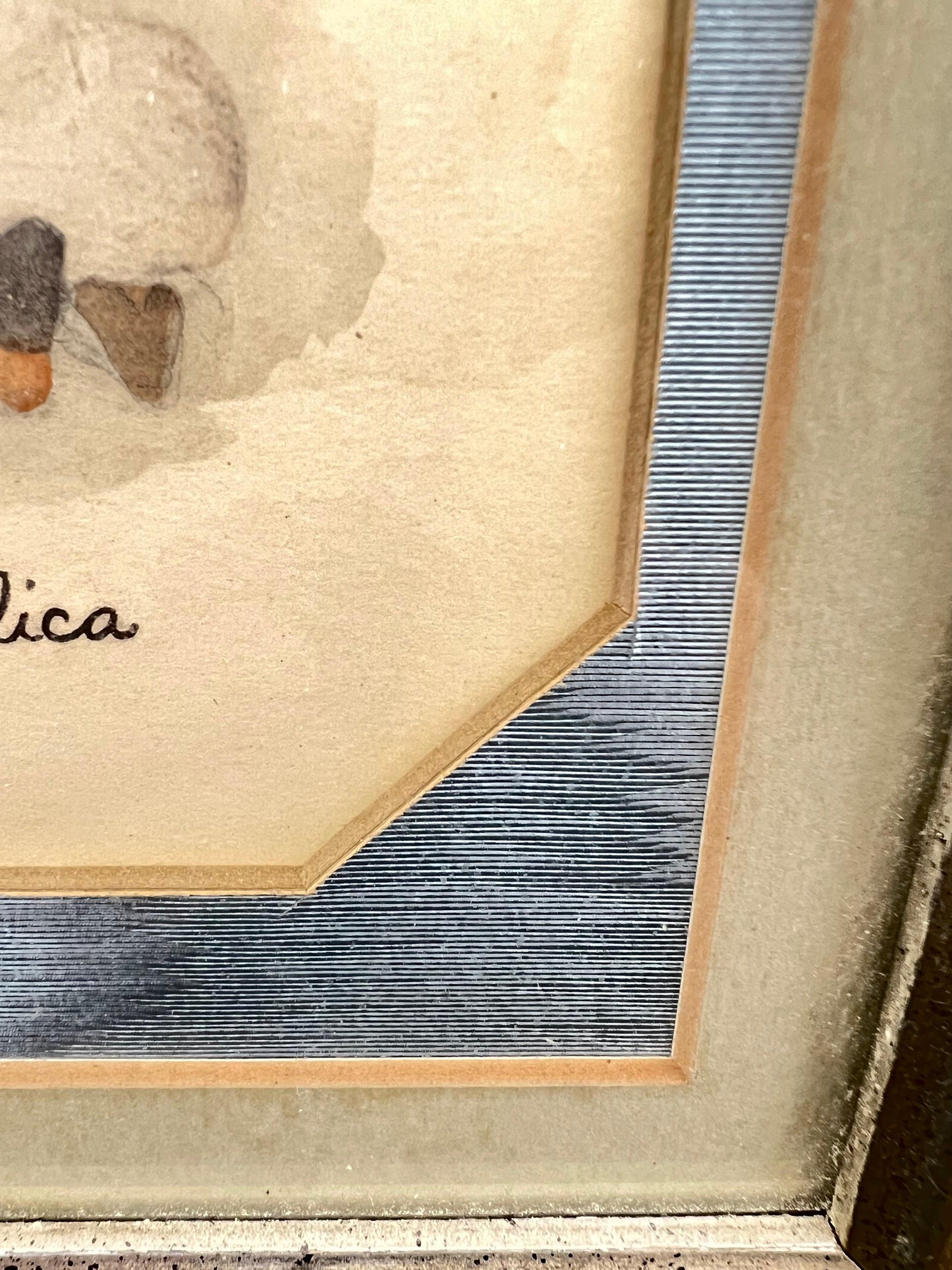 Angelica Little American 3.5 X 5.5" Vintage Print - That’s My JAmm
