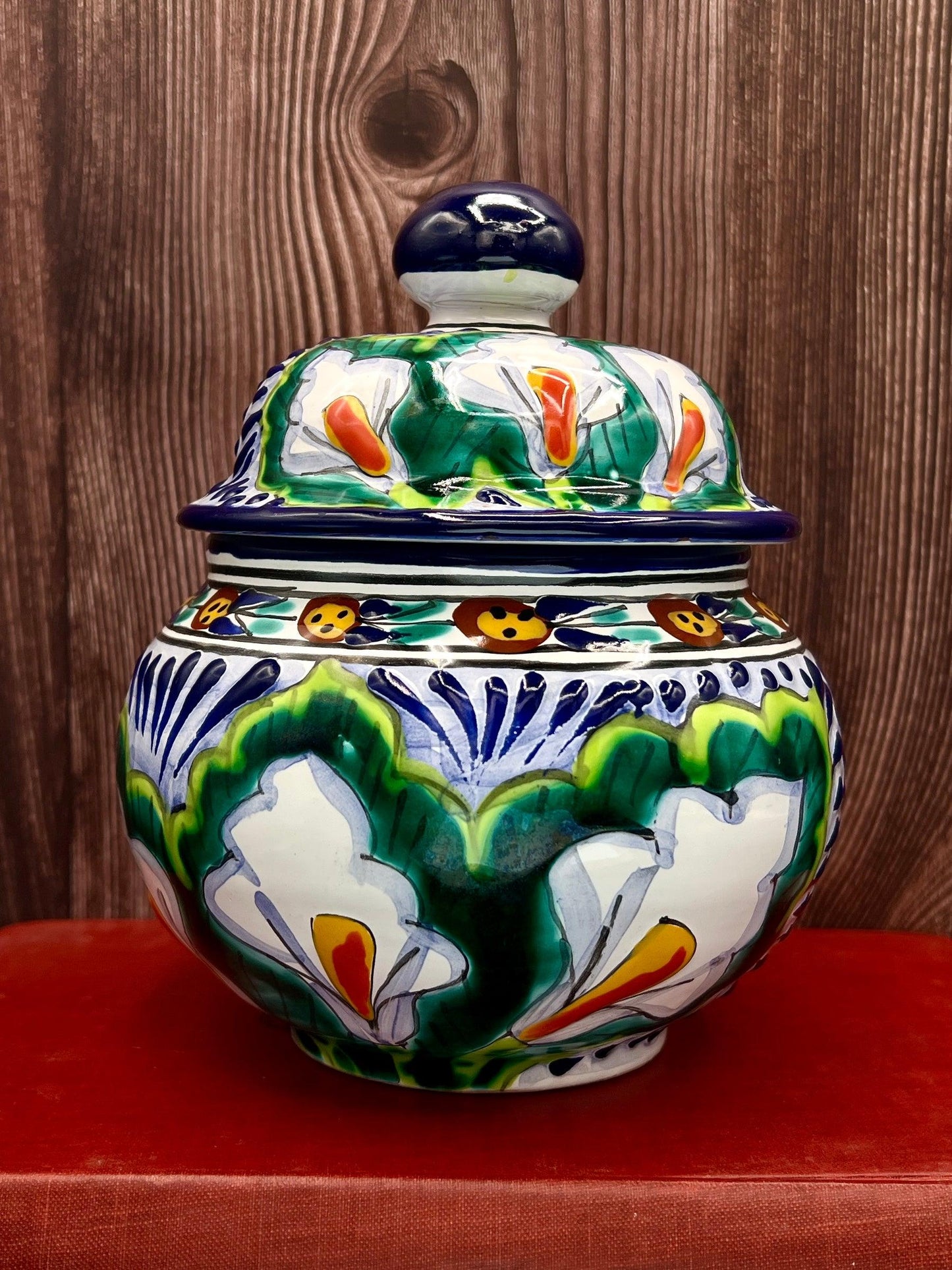 Casa la Paz Talavera Majolica Hand Painted Tibor Jar from Puebla Mexico - That’s My JAmm
