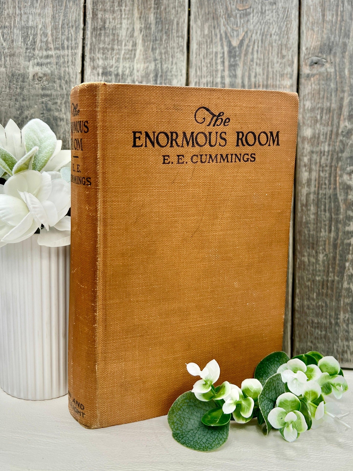 The Enormous Room, E.E. Cummings, 1922 1st Edition, 1st Printing - That’s My JAmm