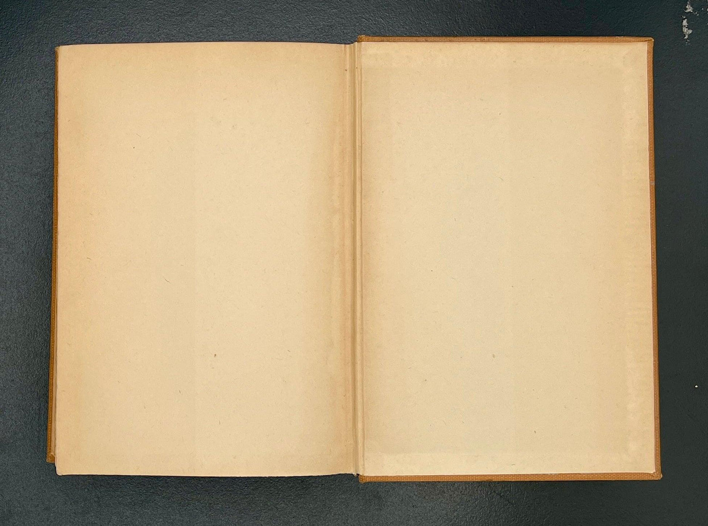 The Enormous Room, E.E. Cummings, 1922 1st Edition, 1st Printing - That’s My JAmm