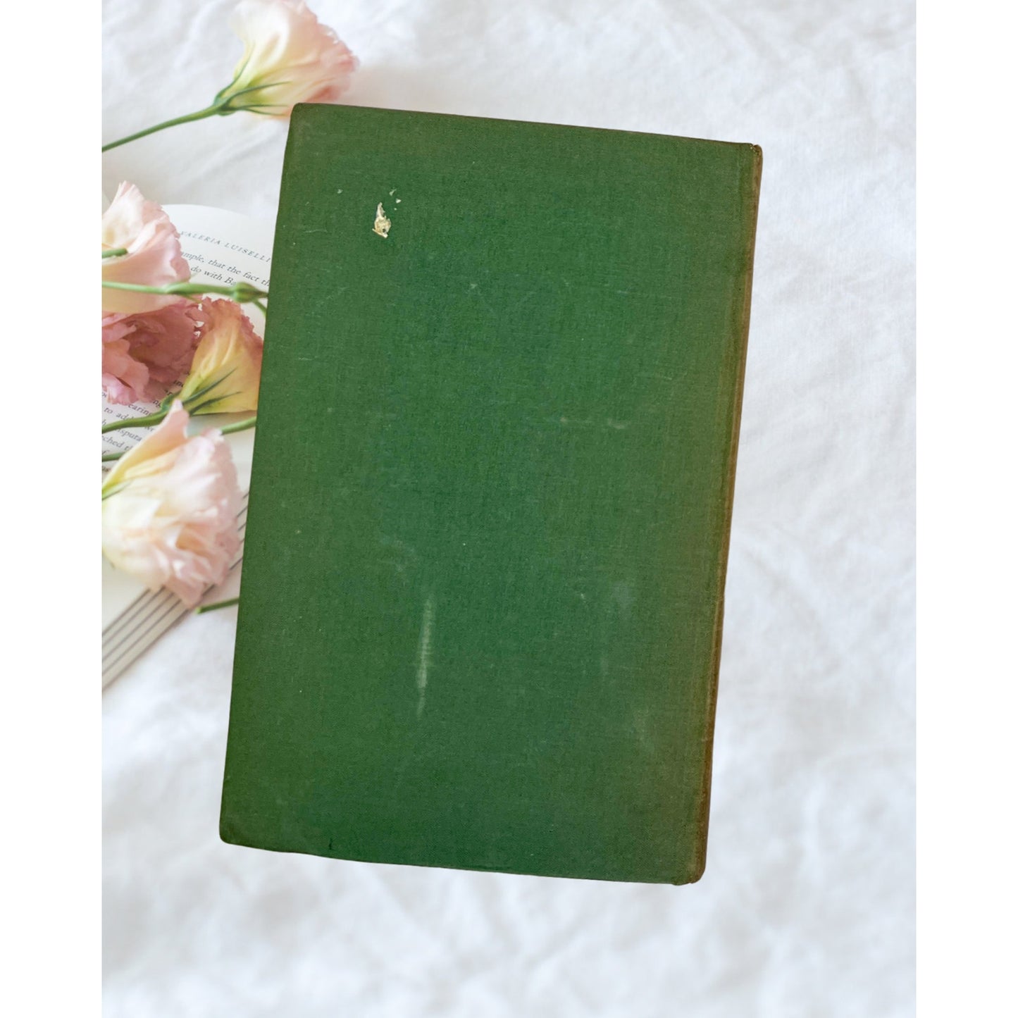 Vintage A Portrait of the Artist as a Young Man James Joyce Modern Library Book