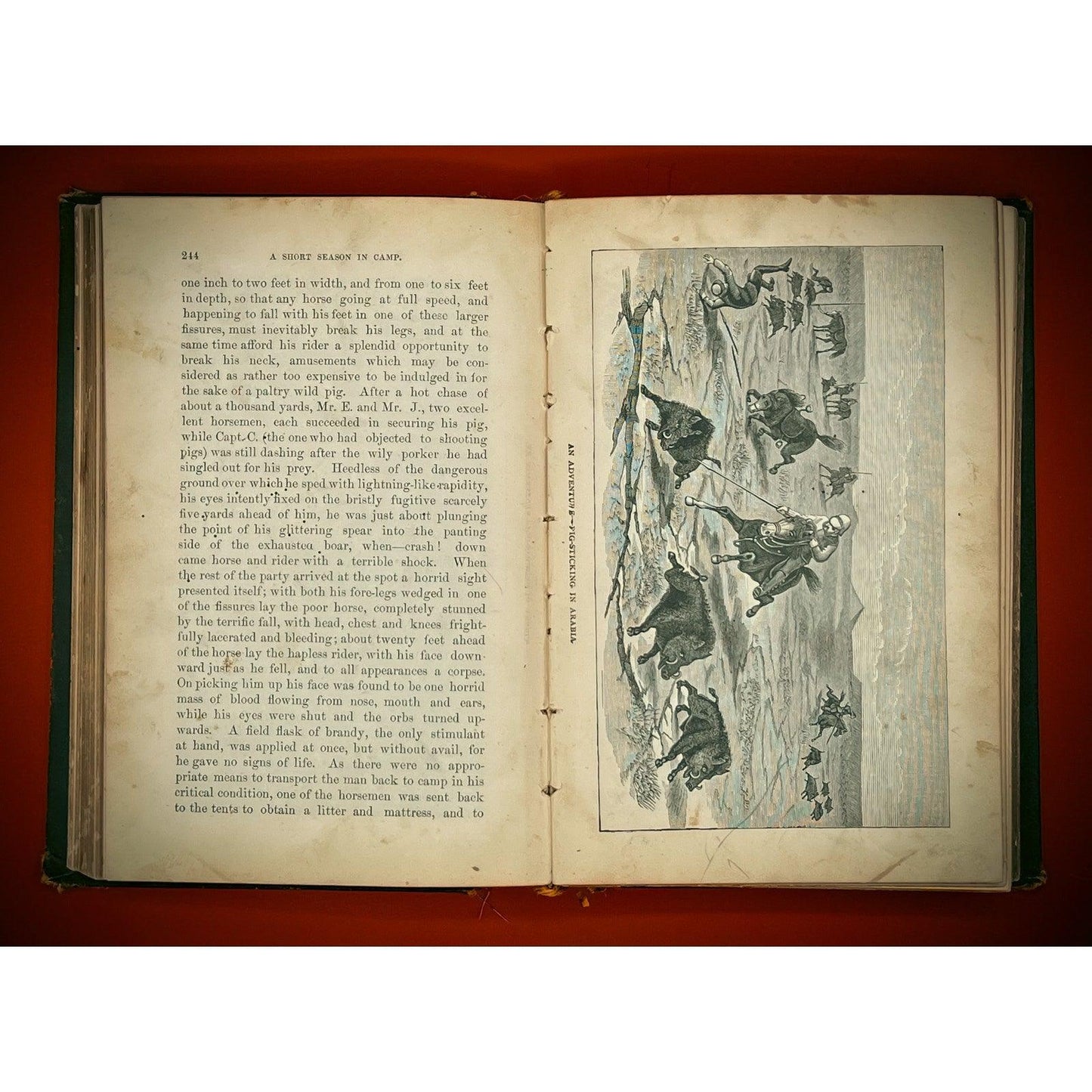 With Star and Crescent by A. Locher - Illustrated, 1890, Rare Collectible - That’s My JAmm