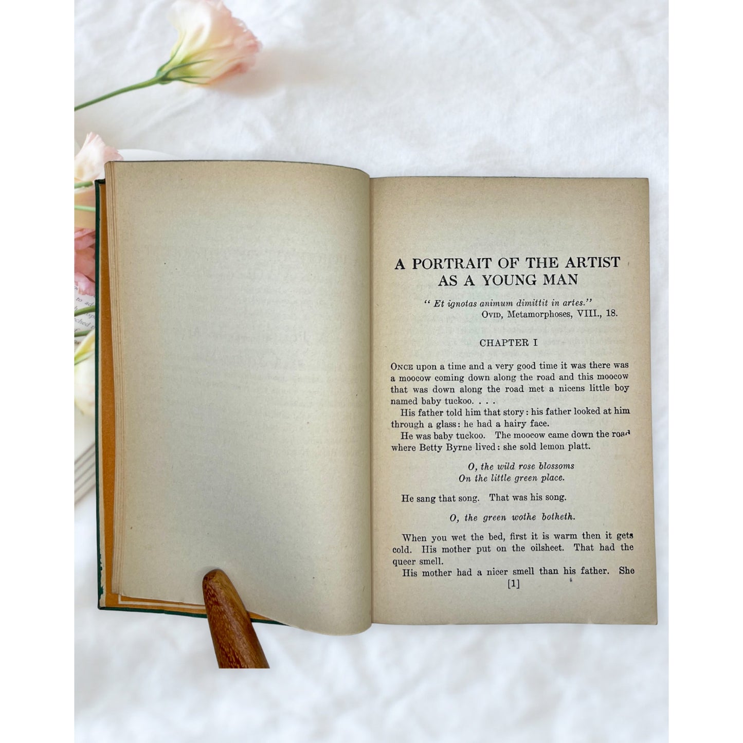 Vintage A Portrait of the Artist as a Young Man James Joyce Modern Library Book