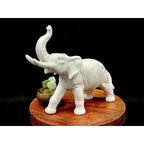 Grafenthal German Democratic Republic (GDR) Porcelain Elephant