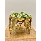 Vintage Brass Ambrosia Handmade Urli Bowl