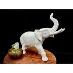 Grafenthal German Democratic Republic (GDR) Porcelain Elephant