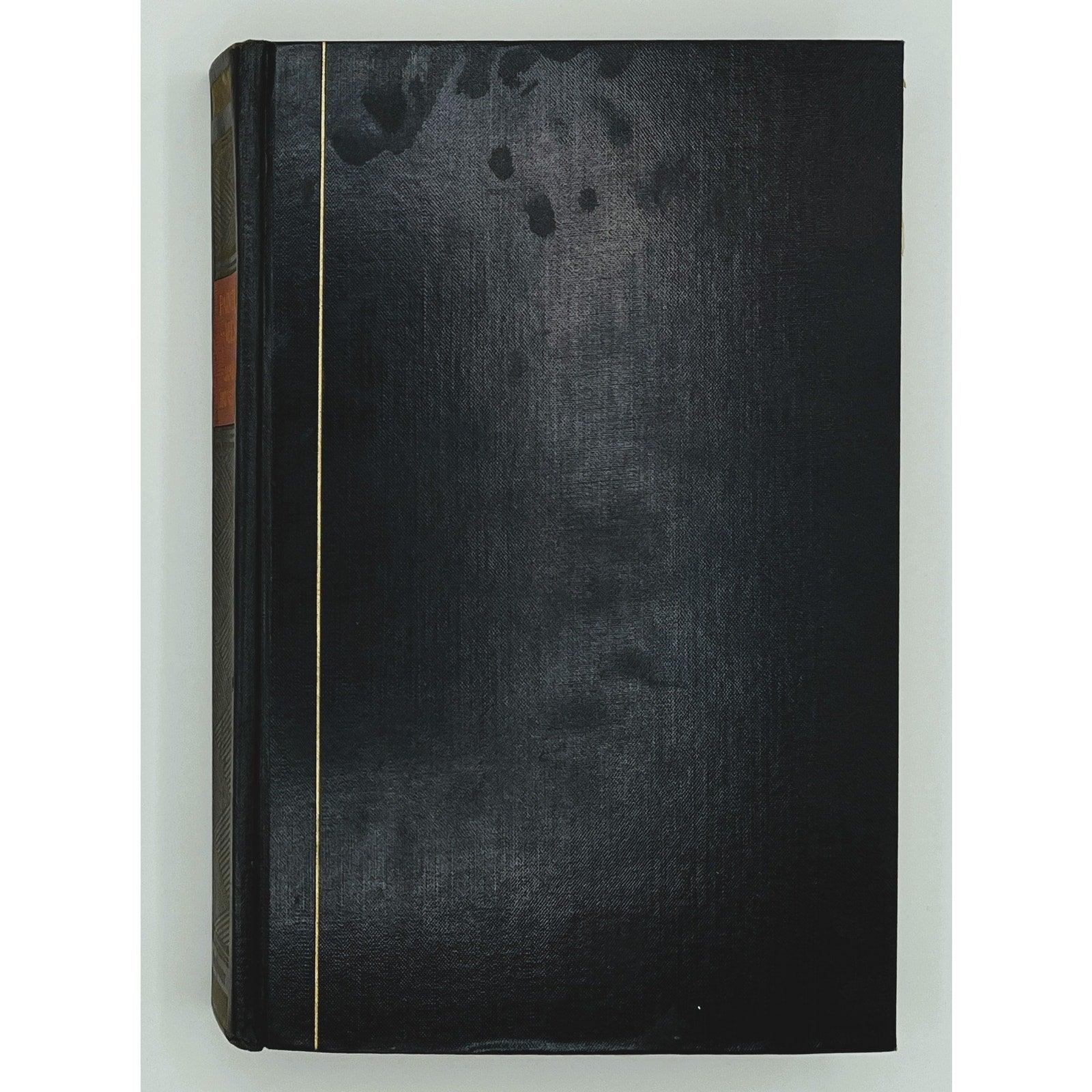Painted Veils by James Huneker, Rare 1929 Illustrated Editorial Copy - That’s My JAmm