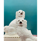 Antique Staffordshire Porcelain Dog Figurines - Pair of Collectible English Ceramic Dogs