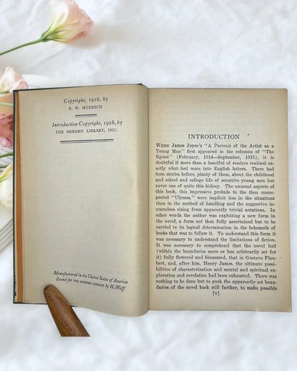Vintage A Portrait of the Artist as a Young Man James Joyce Modern Library Book
