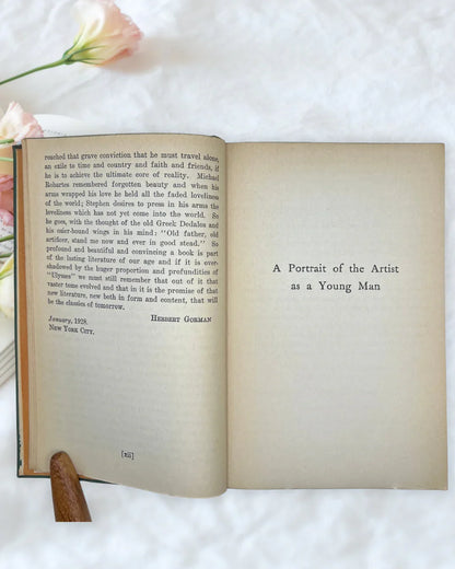 Vintage A Portrait of the Artist as a Young Man James Joyce Modern Library Book