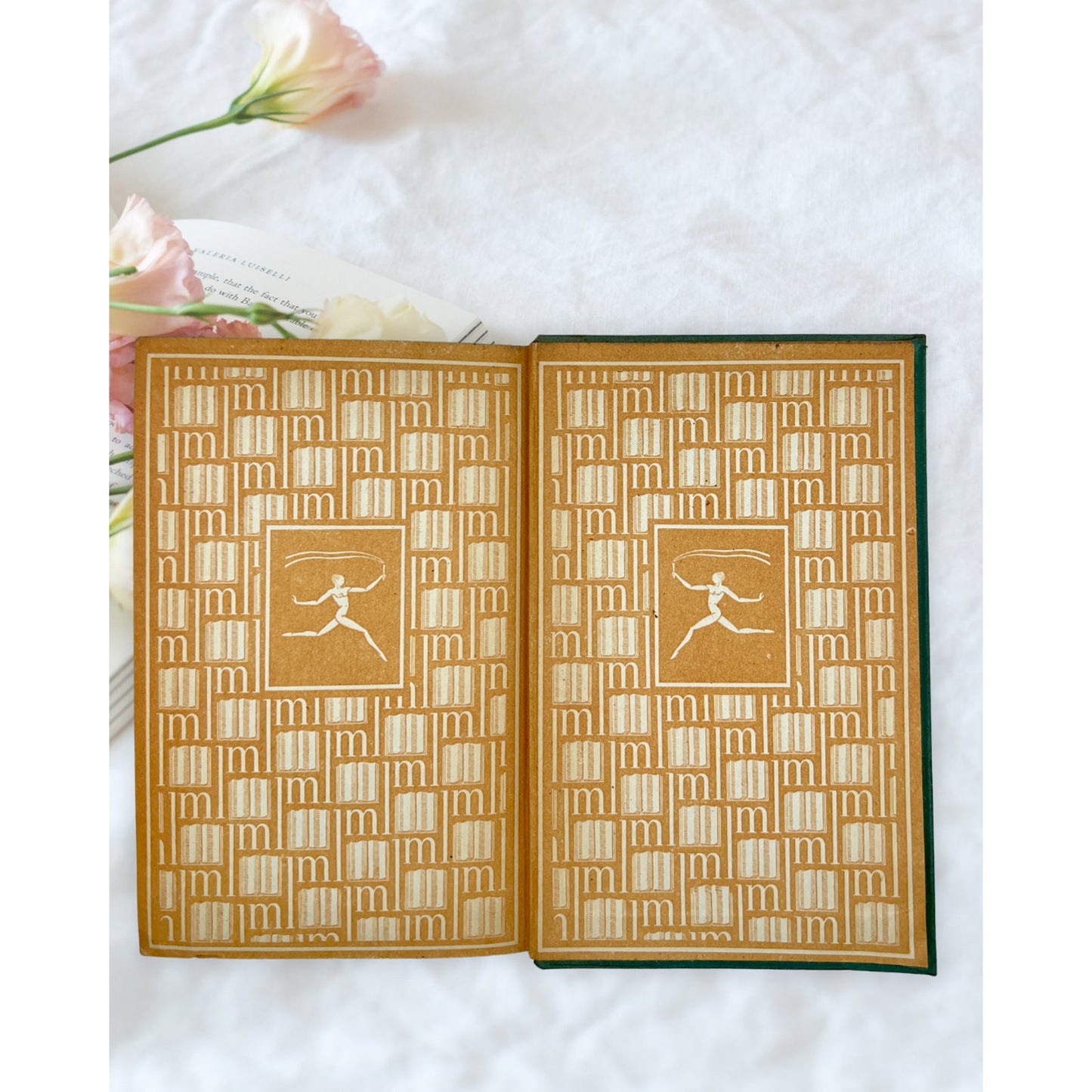 Vintage A Portrait of the Artist as a Young Man James Joyce Modern Library Book