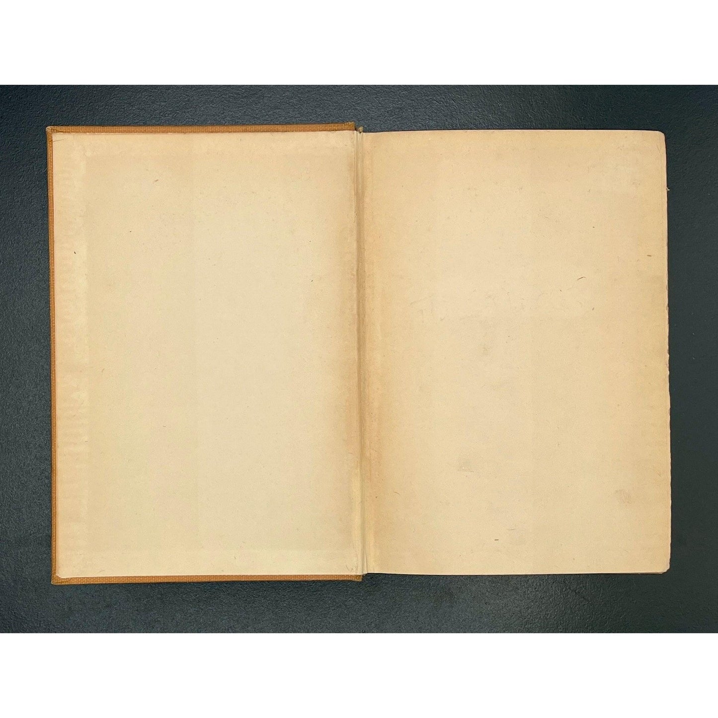 The Enormous Room, E.E. Cummings, 1922 1st Edition, 1st Printing