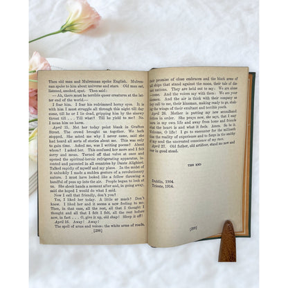 Vintage A Portrait of the Artist as a Young Man James Joyce Modern Library Book