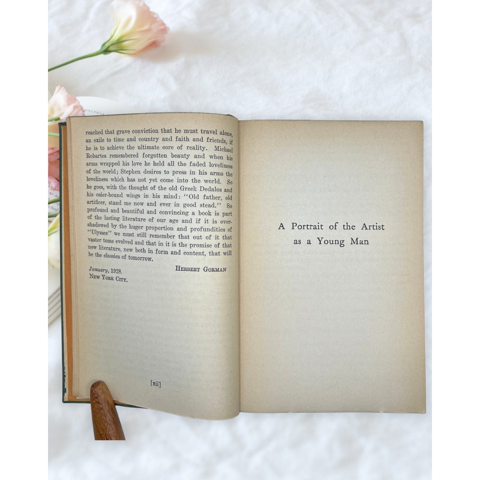 Vintage A Portrait of the Artist as a Young Man James Joyce Modern Library Book