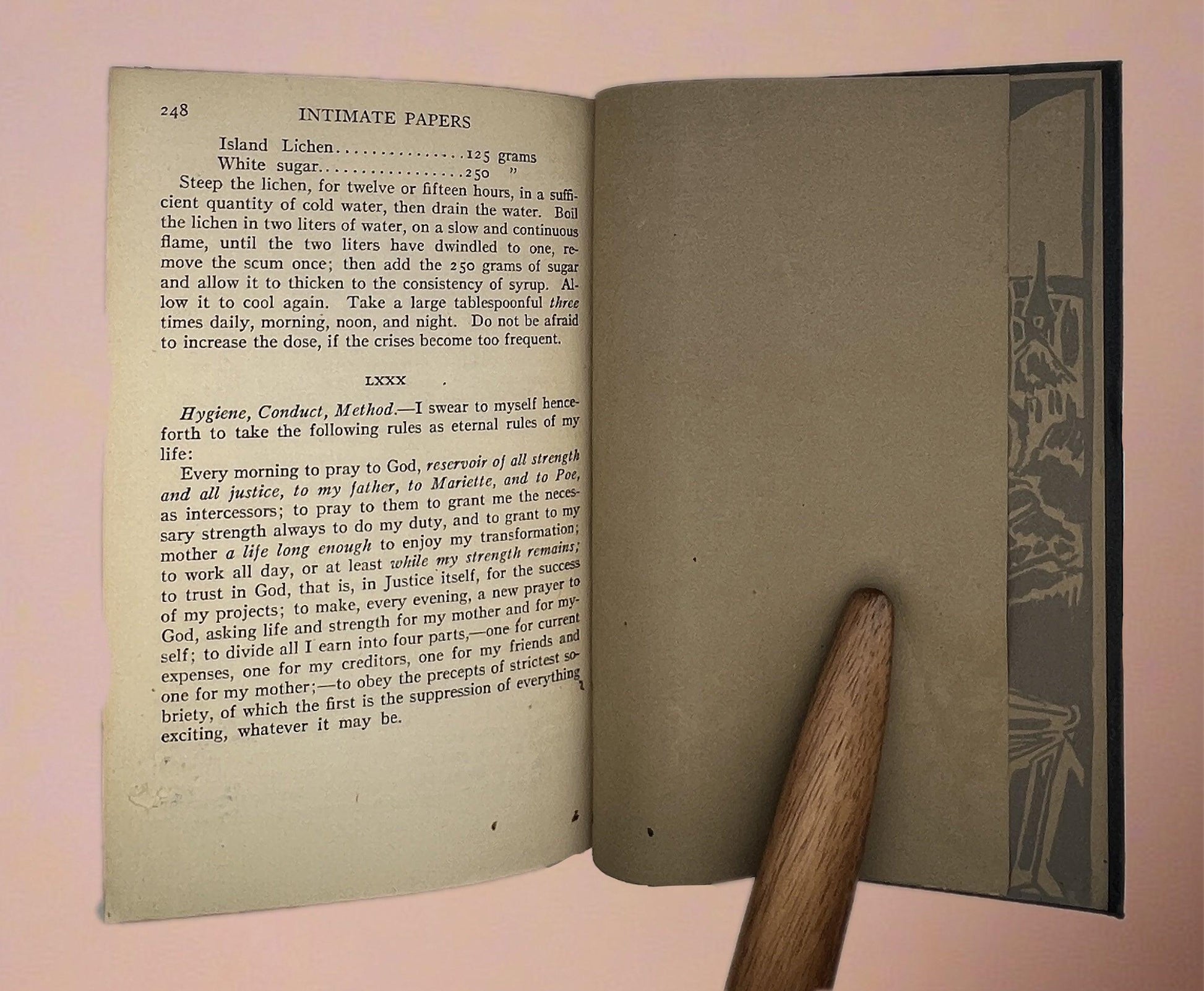 Modern Library 1919 Edition "Baudelaire: His Prose and Poetry" - That’s My JAmm