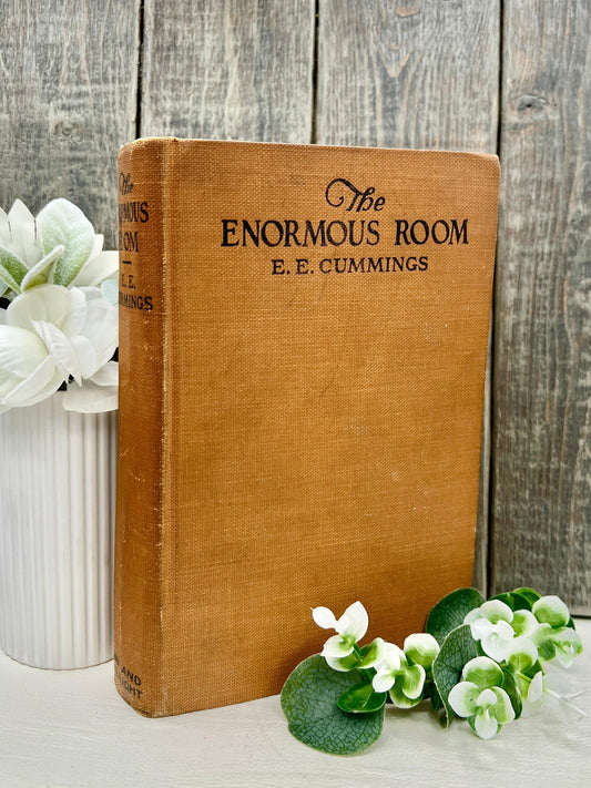 The Enormous Room, E.E. Cummings, 1922 1st Edition, 1st Printing - That’s My JAmm