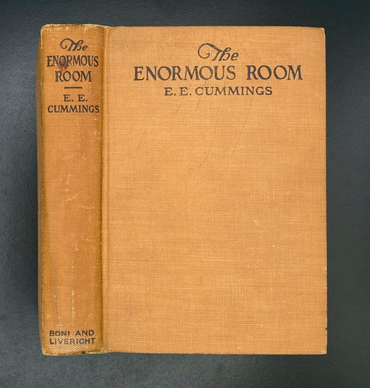 The Enormous Room, E.E. Cummings, 1922 1st Edition, 1st Printing - That’s My JAmm
