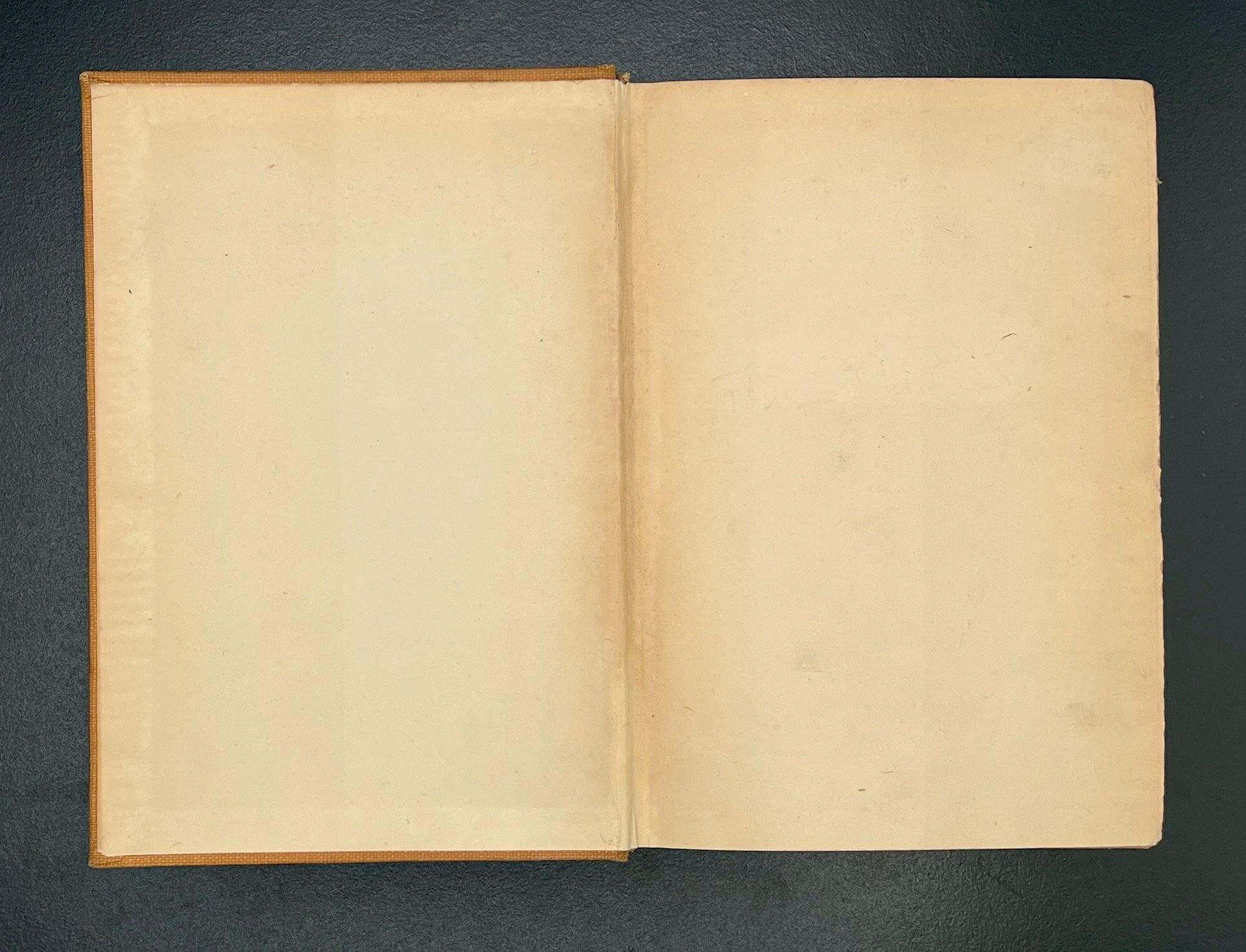 The Enormous Room, E.E. Cummings, 1922 1st Edition, 1st Printing - That’s My JAmm