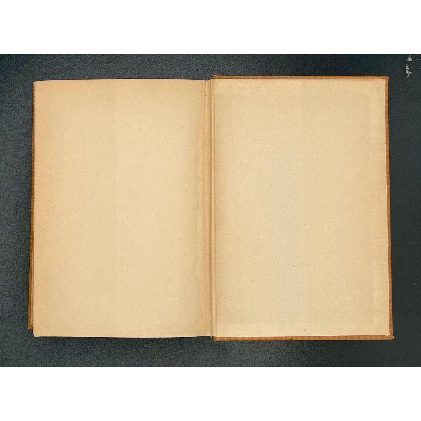 The Enormous Room, E.E. Cummings, 1922 1st Edition, 1st Printing