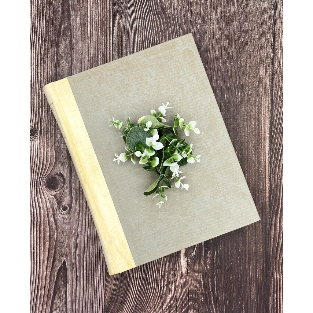 Faust by Goethe, 1925 illustrated edition by Harry Clarke, signed, vintage hardcover on wood with a small bouquet